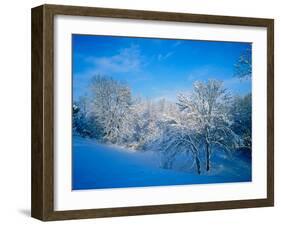 Record Snow in Louisville, Kentucky, USA-Adam Jones-Framed Photographic Print