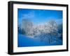 Record Snow in Louisville, Kentucky, USA-Adam Jones-Framed Photographic Print
