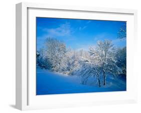 Record Snow in Louisville, Kentucky, USA-Adam Jones-Framed Photographic Print