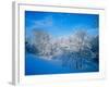 Record Snow in Louisville, Kentucky, USA-Adam Jones-Framed Photographic Print