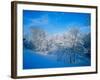 Record Snow in Louisville, Kentucky, USA-Adam Jones-Framed Photographic Print