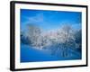 Record Snow in Louisville, Kentucky, USA-Adam Jones-Framed Photographic Print