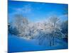 Record Snow in Louisville, Kentucky, USA-Adam Jones-Mounted Photographic Print