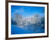 Record Snow in Louisville, Kentucky, USA-Adam Jones-Framed Photographic Print