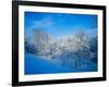 Record Snow in Louisville, Kentucky, USA-Adam Jones-Framed Photographic Print