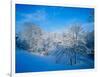 Record Snow in Louisville, Kentucky, USA-Adam Jones-Framed Photographic Print