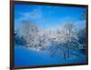 Record Snow in Louisville, Kentucky, USA-Adam Jones-Framed Photographic Print