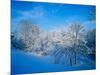 Record Snow in Louisville, Kentucky, USA-Adam Jones-Mounted Photographic Print