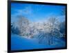 Record Snow in Louisville, Kentucky, USA-Adam Jones-Framed Photographic Print