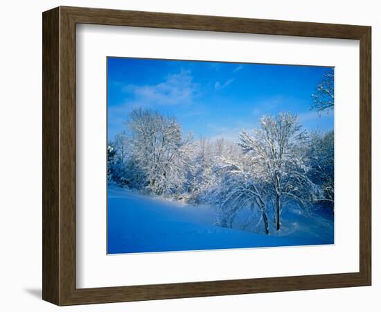 Record Snow in Louisville, Kentucky, USA-Adam Jones-Framed Photographic Print