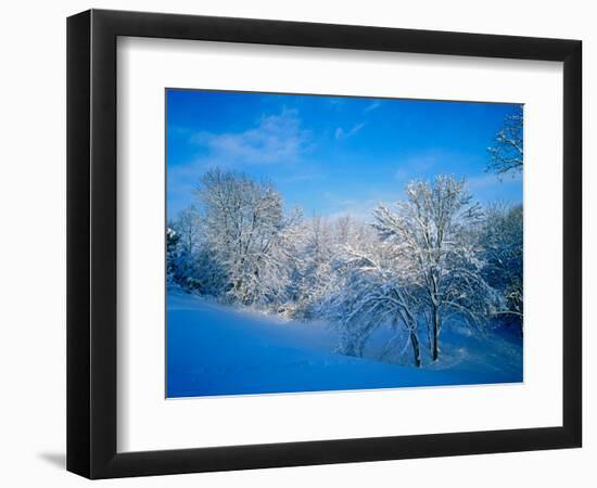 Record Snow in Louisville, Kentucky, USA-Adam Jones-Framed Photographic Print