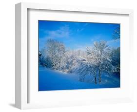 Record Snow in Louisville, Kentucky, USA-Adam Jones-Framed Photographic Print