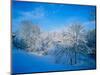 Record Snow in Louisville, Kentucky, USA-Adam Jones-Mounted Photographic Print