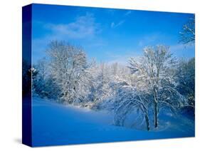 Record Snow in Louisville, Kentucky, USA-Adam Jones-Stretched Canvas