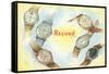 Record Swiss Wristwatches-null-Framed Stretched Canvas