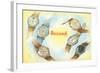 Record Swiss Wristwatches-null-Framed Art Print