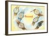 Record Swiss Wristwatches-null-Framed Art Print