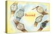 Record Swiss Wristwatches-null-Stretched Canvas