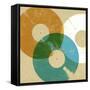 Records 3-Stella Bradley-Framed Stretched Canvas