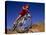 Recreational Mountain Biker Riding on the Trails-null-Stretched Canvas