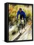 Recreational Mountain Biker Riding on the Trails-null-Framed Stretched Canvas