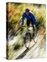 Recreational Mountain Biker Riding on the Trails-null-Stretched Canvas