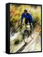 Recreational Mountain Biker Riding on the Trails-null-Framed Stretched Canvas