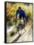 Recreational Mountain Biker Riding on the Trails-null-Framed Stretched Canvas