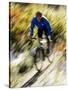 Recreational Mountain Biker Riding on the Trails-null-Stretched Canvas