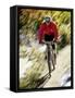 Recreational Mountain Biker Riding on the Trails-null-Framed Stretched Canvas