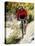 Recreational Mountain Biker Riding on the Trails-null-Stretched Canvas