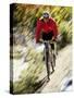 Recreational Mountain Biker Riding on the Trails-null-Stretched Canvas