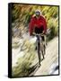 Recreational Mountain Biker Riding on the Trails-null-Framed Stretched Canvas