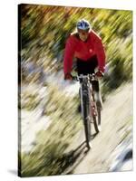 Recreational Mountain Biker Riding on the Trails-null-Stretched Canvas