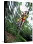 Recreational Mountain Biker Riding on the Trails-null-Stretched Canvas