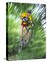 Recreational Mountain Biker Riding on the Trails-null-Stretched Canvas