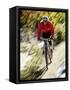Recreational Mountain Biker Riding on the Trails-null-Framed Stretched Canvas
