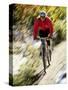 Recreational Mountain Biker Riding on the Trails-null-Stretched Canvas