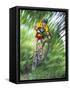 Recreational Mountain Biker Riding on the Trails-null-Framed Stretched Canvas