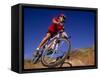 Recreational Mountain Biker Riding on the Trails-null-Framed Stretched Canvas