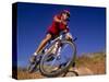 Recreational Mountain Biker Riding on the Trails-null-Stretched Canvas