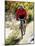 Recreational Mountain Biker Riding on the Trails-null-Mounted Photographic Print