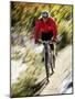 Recreational Mountain Biker Riding on the Trails-null-Mounted Photographic Print