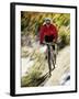 Recreational Mountain Biker Riding on the Trails-null-Framed Photographic Print