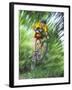 Recreational Mountain Biker Riding on the Trails-null-Framed Photographic Print