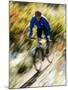 Recreational Mountain Biker Riding on the Trails-null-Mounted Photographic Print