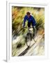 Recreational Mountain Biker Riding on the Trails-null-Framed Photographic Print