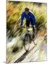 Recreational Mountain Biker Riding on the Trails-null-Mounted Photographic Print