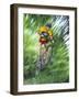 Recreational Mountain Biker Riding on the Trails-null-Framed Photographic Print