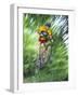 Recreational Mountain Biker Riding on the Trails-null-Framed Photographic Print